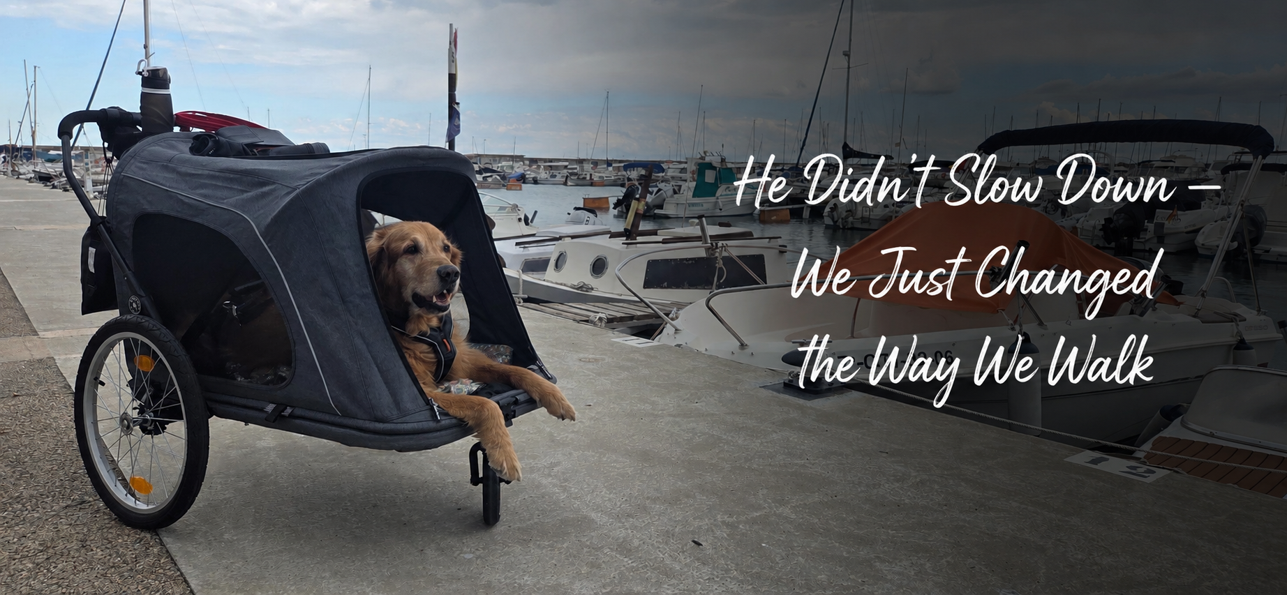 When Walks Get Harder, Love Finds Another Way