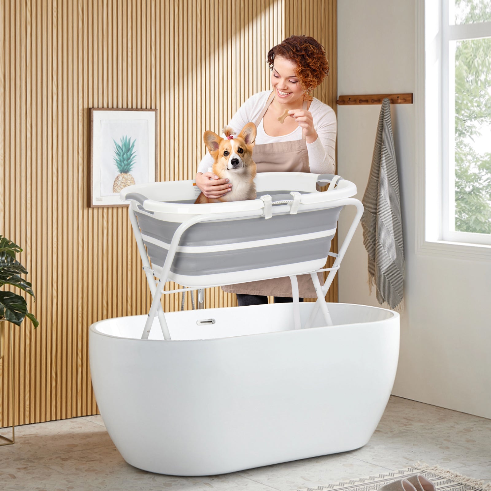Beberoad B1 2 in 1 Dog Bath Tub | Elevated Collapsible Foldable Portable | for Small Pets