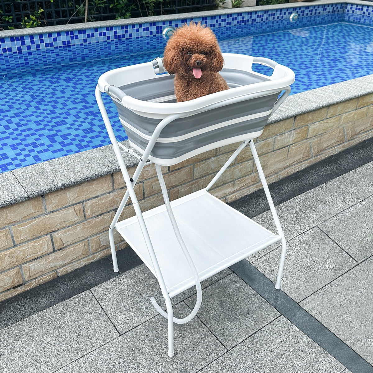 Beberoad B1 2 in 1 Dog Bath Tub | Elevated Collapsible Foldable Portable | for Small Pets
