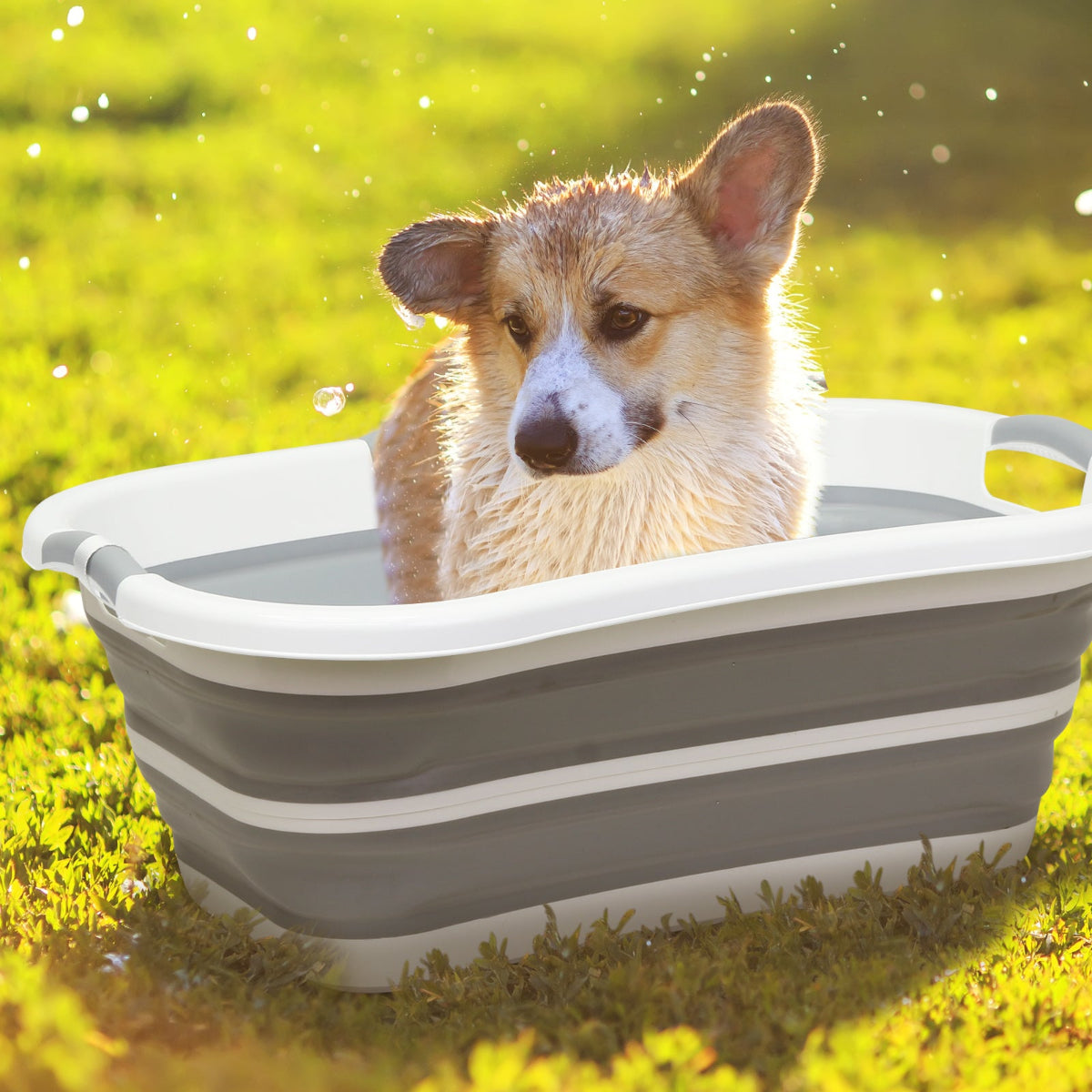 Beberoad B1 2 in 1 Dog Bath Tub | Elevated Collapsible Foldable Portable | for Small Pets