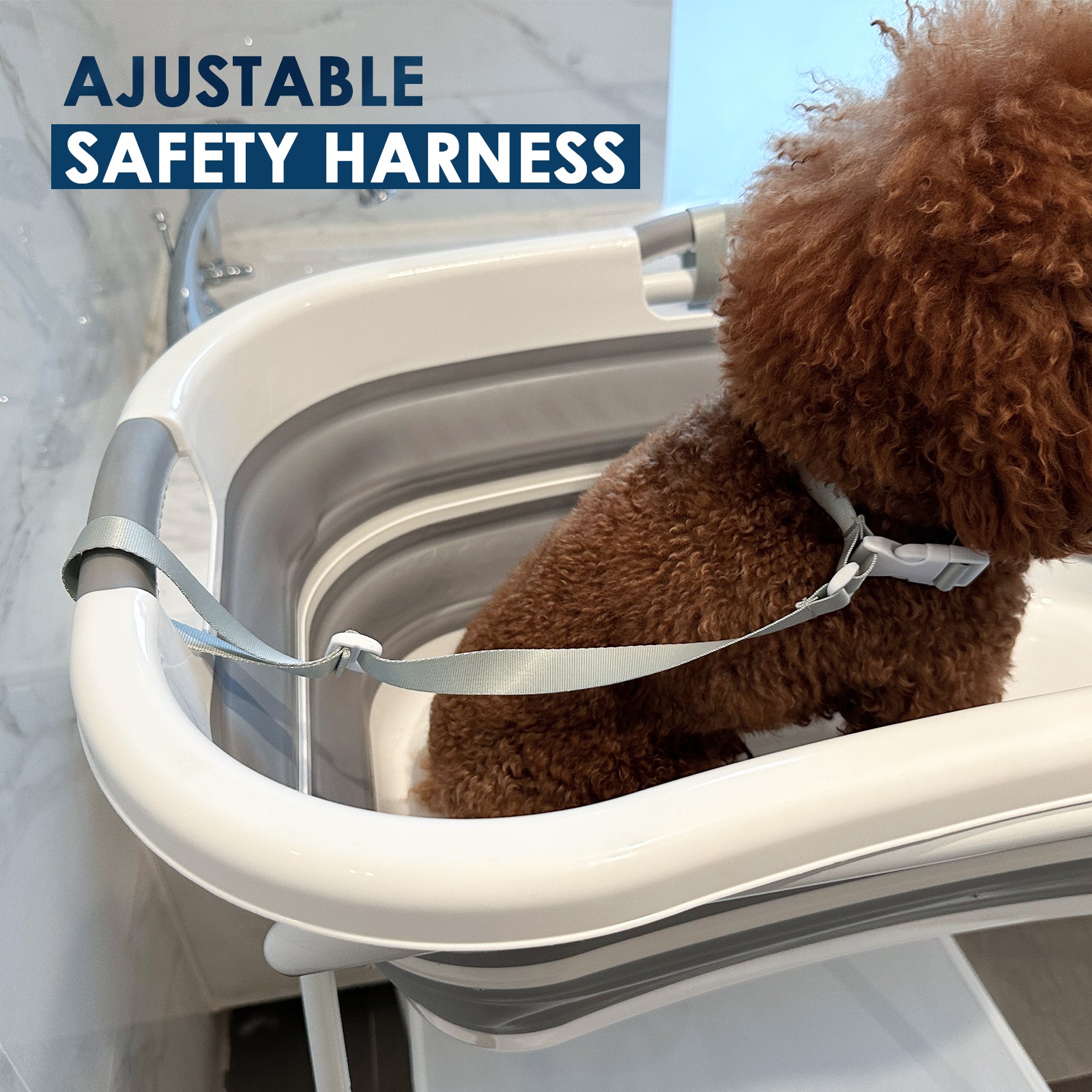 Beberoad B1 2 in 1 Dog Bath Tub | Elevated Collapsible Foldable Portable | for Small Pets