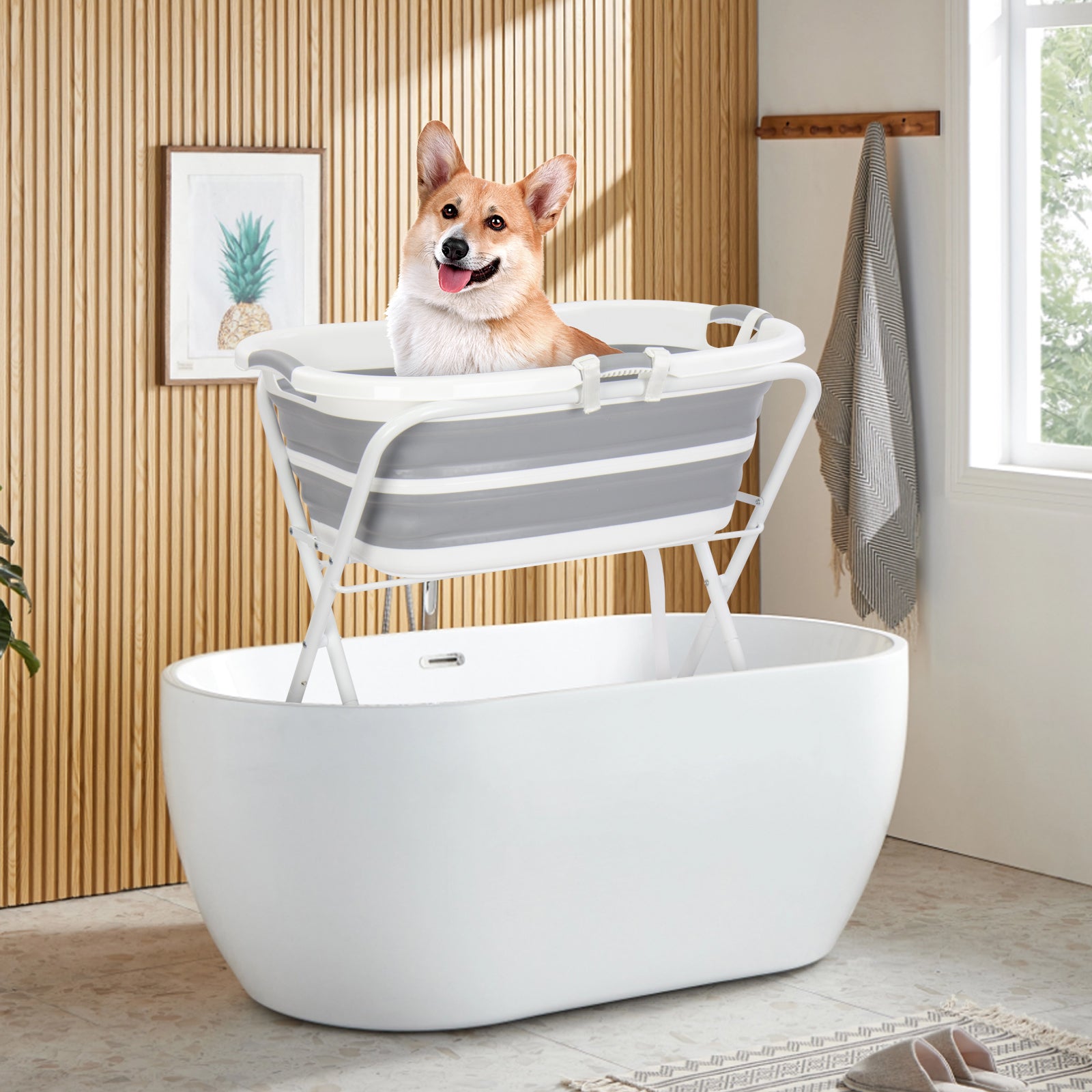 Beberoad B1 2 in 1 Dog Bath Tub | Elevated Collapsible Foldable Portable | for Small Pets