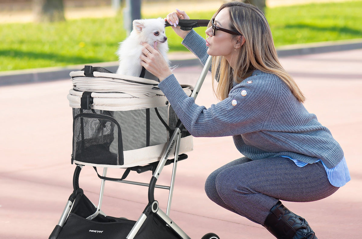Pet parent enjoying a walk with a Beberoad pet stroller