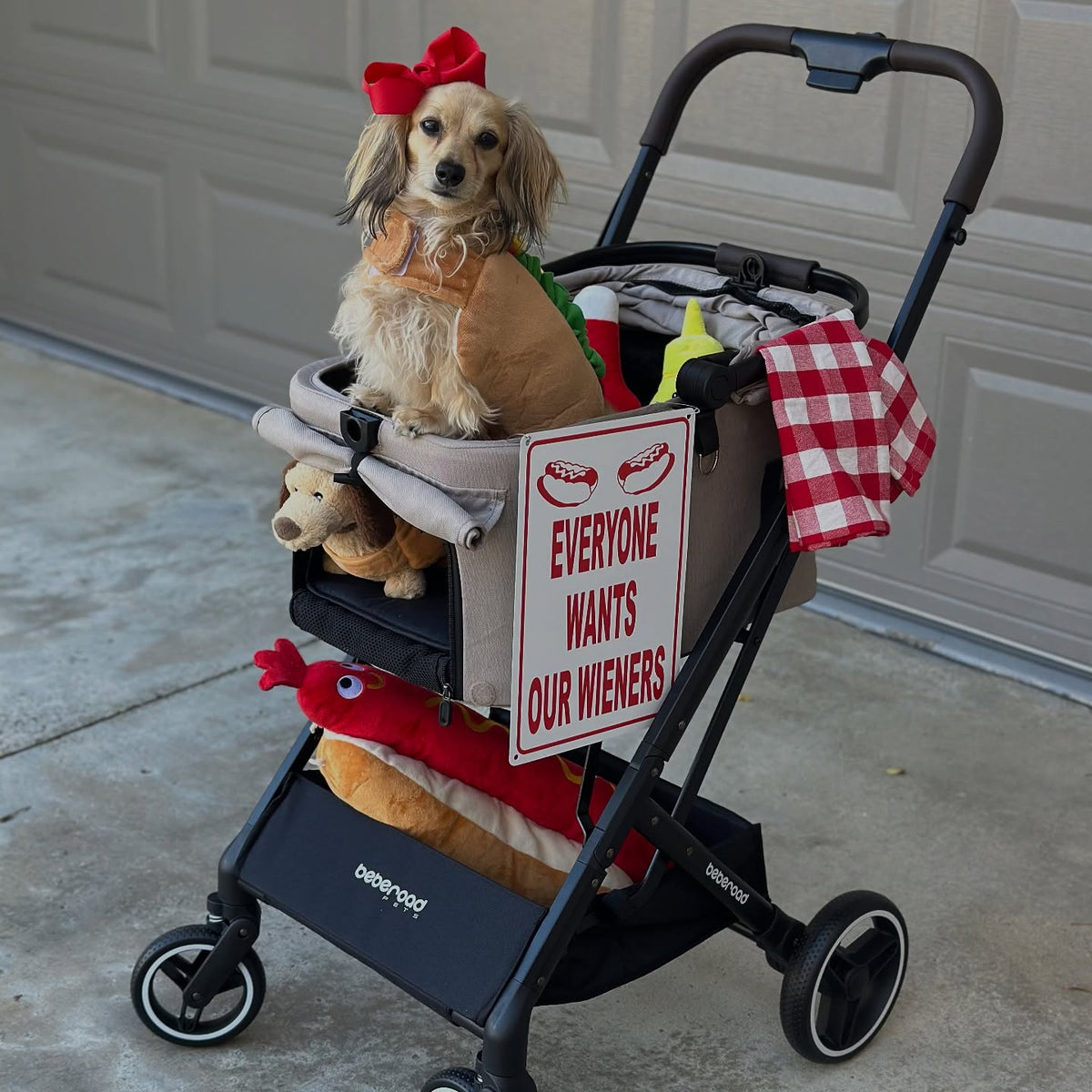 Pet parent enjoying a walk with a Beberoad pet stroller