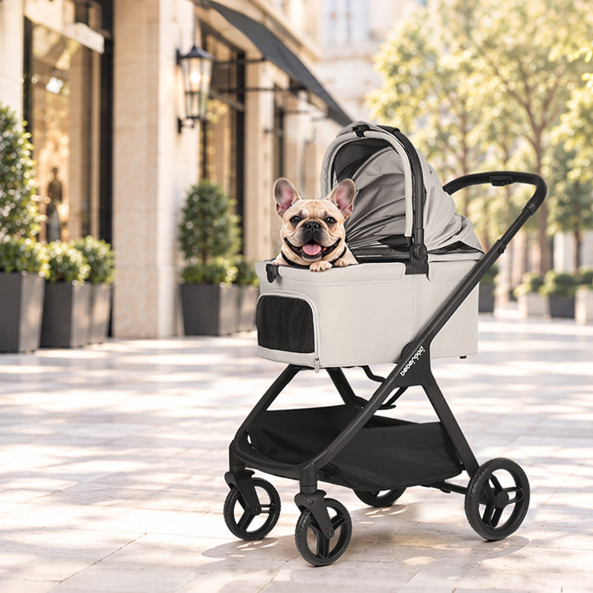 Pet parent enjoying a walk with a Beberoad pet stroller