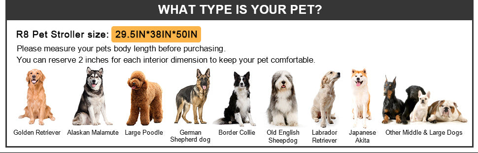 what type is your pet