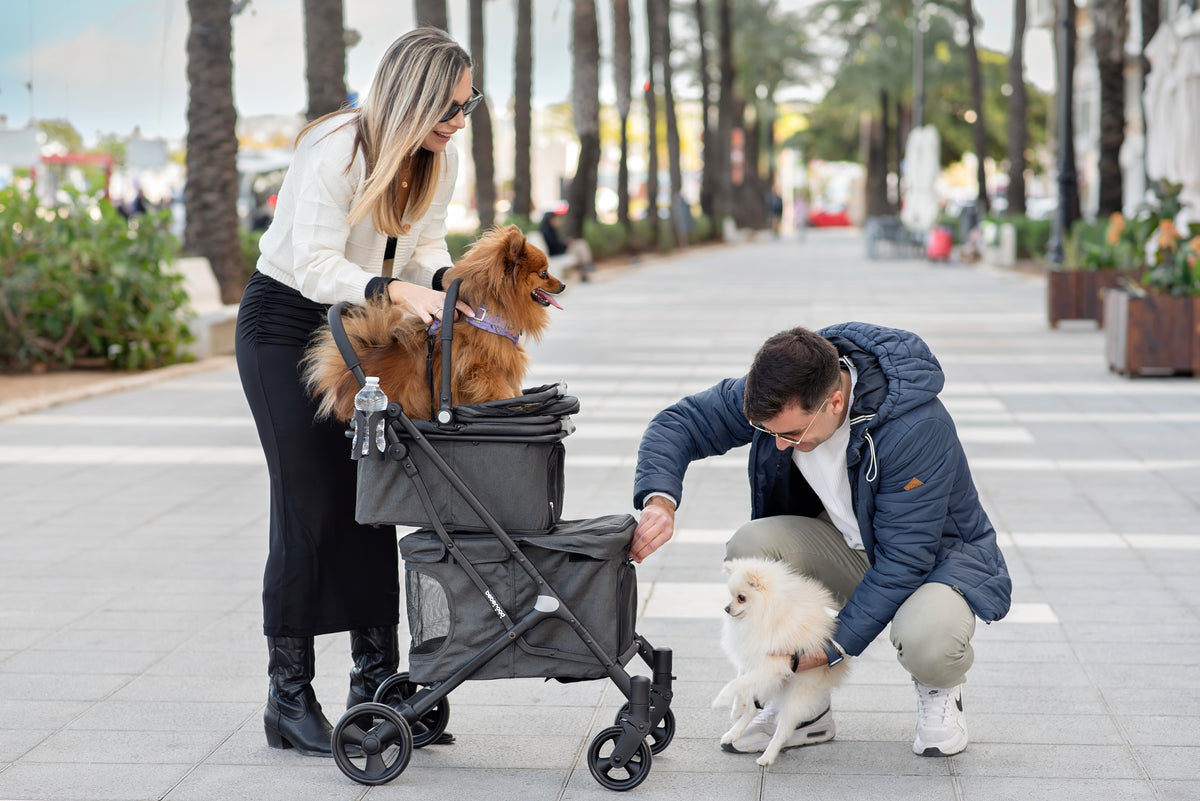 Pet parent enjoying a walk with a Beberoad pet stroller