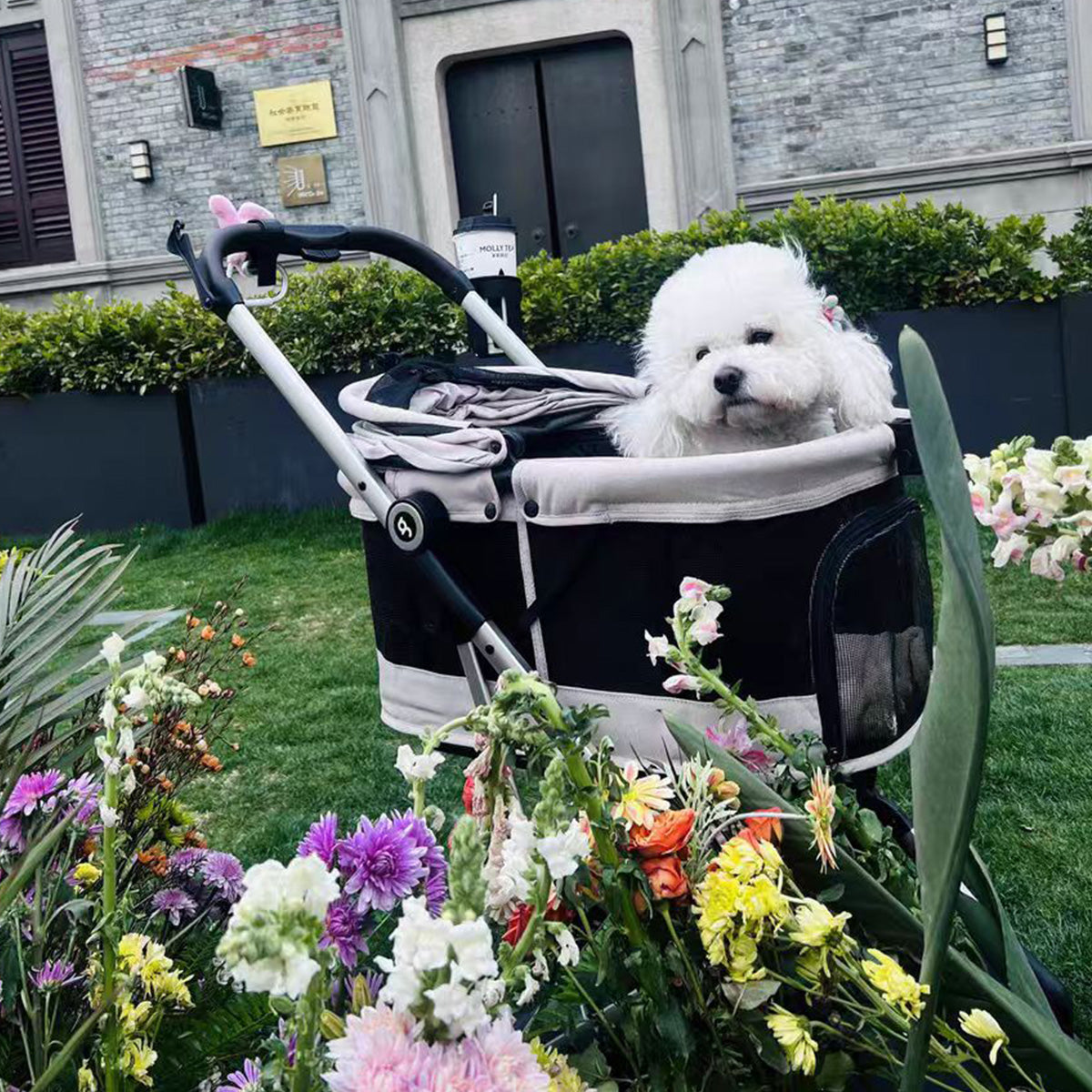 Beberoad T4 Pet Stroller | One-click Fold | for Small & Medium Pets
