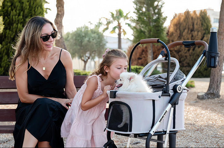 Dog in T3 pro pet stroller and family outings