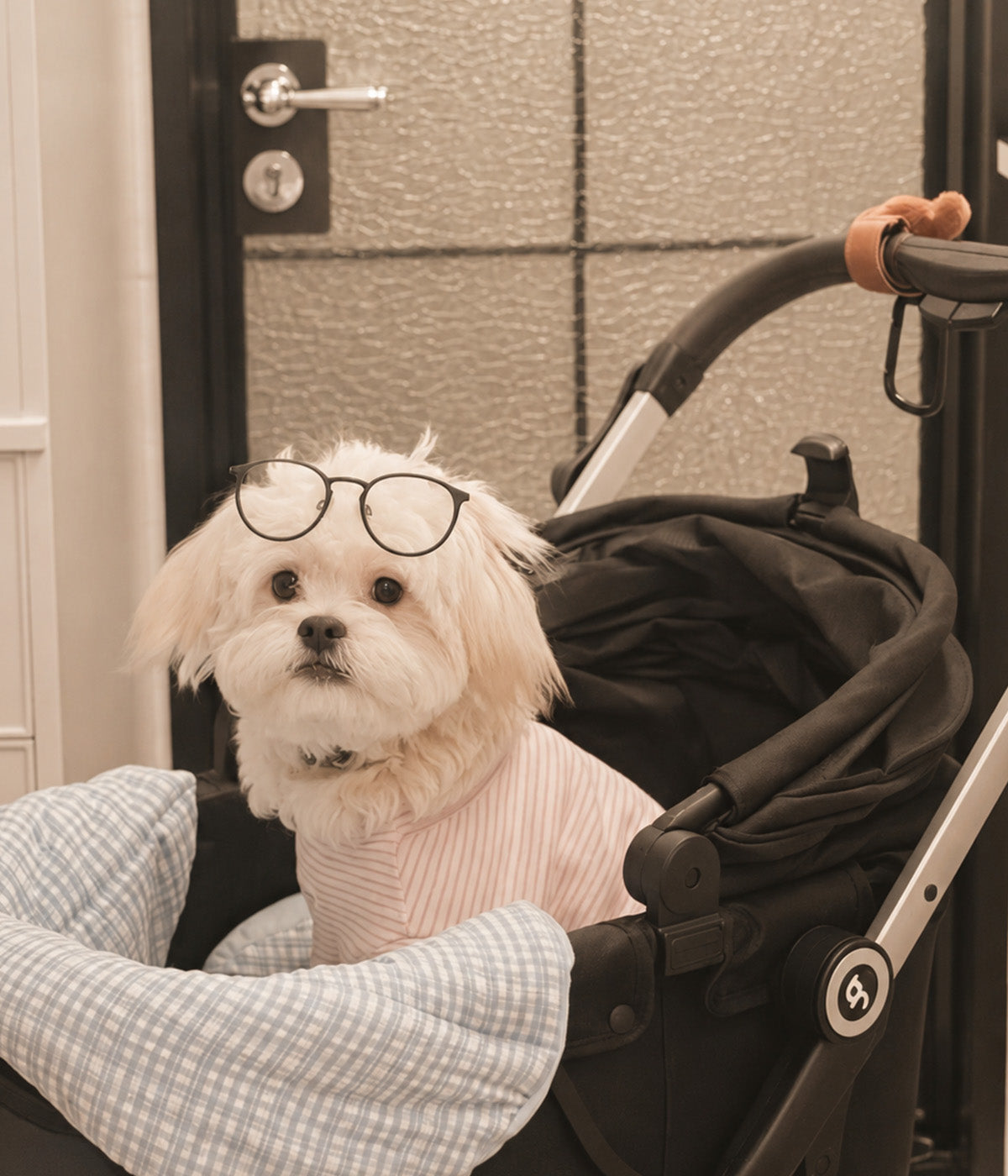 Beberoad T4 Pet Stroller | One-click Fold | for Small & Medium Pets