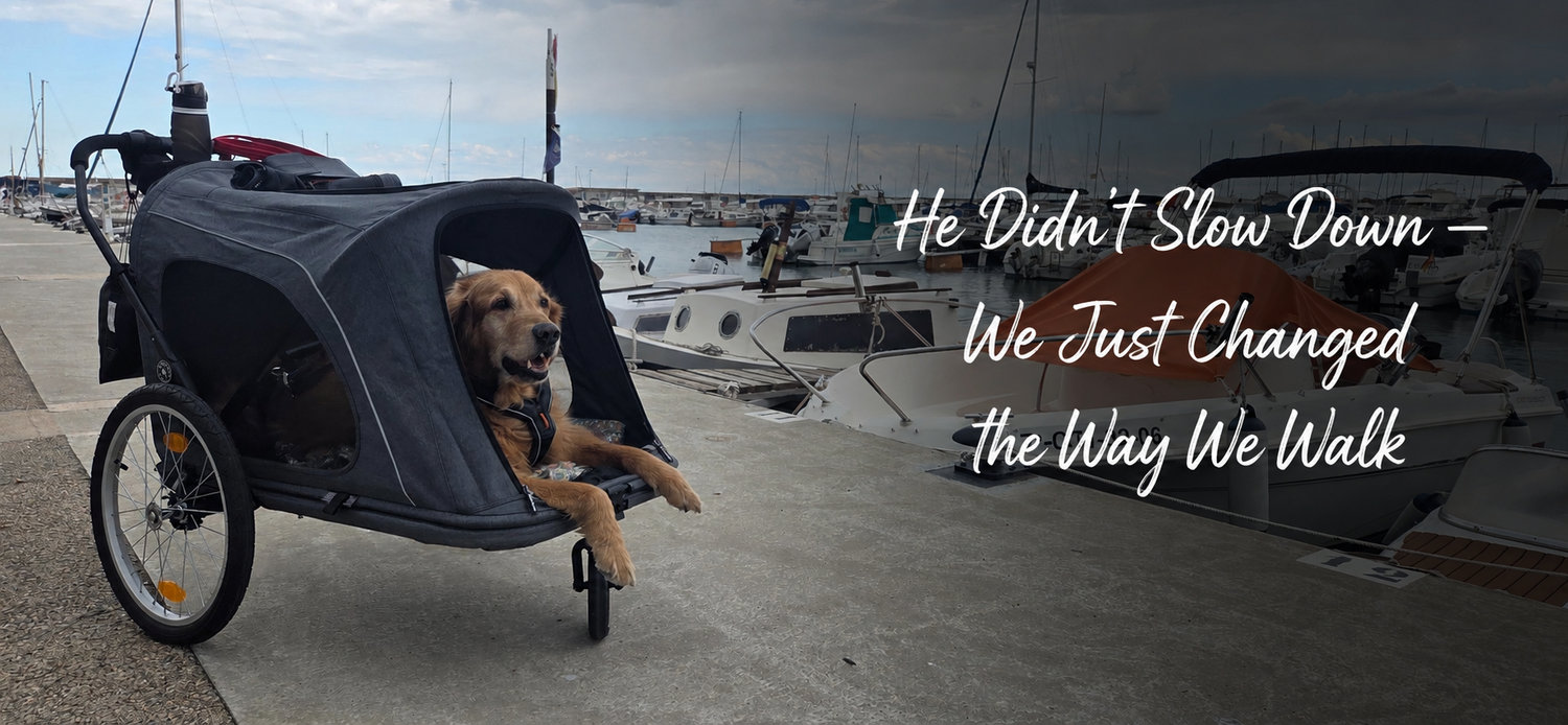 When Walks Get Harder, Love Finds Another Way