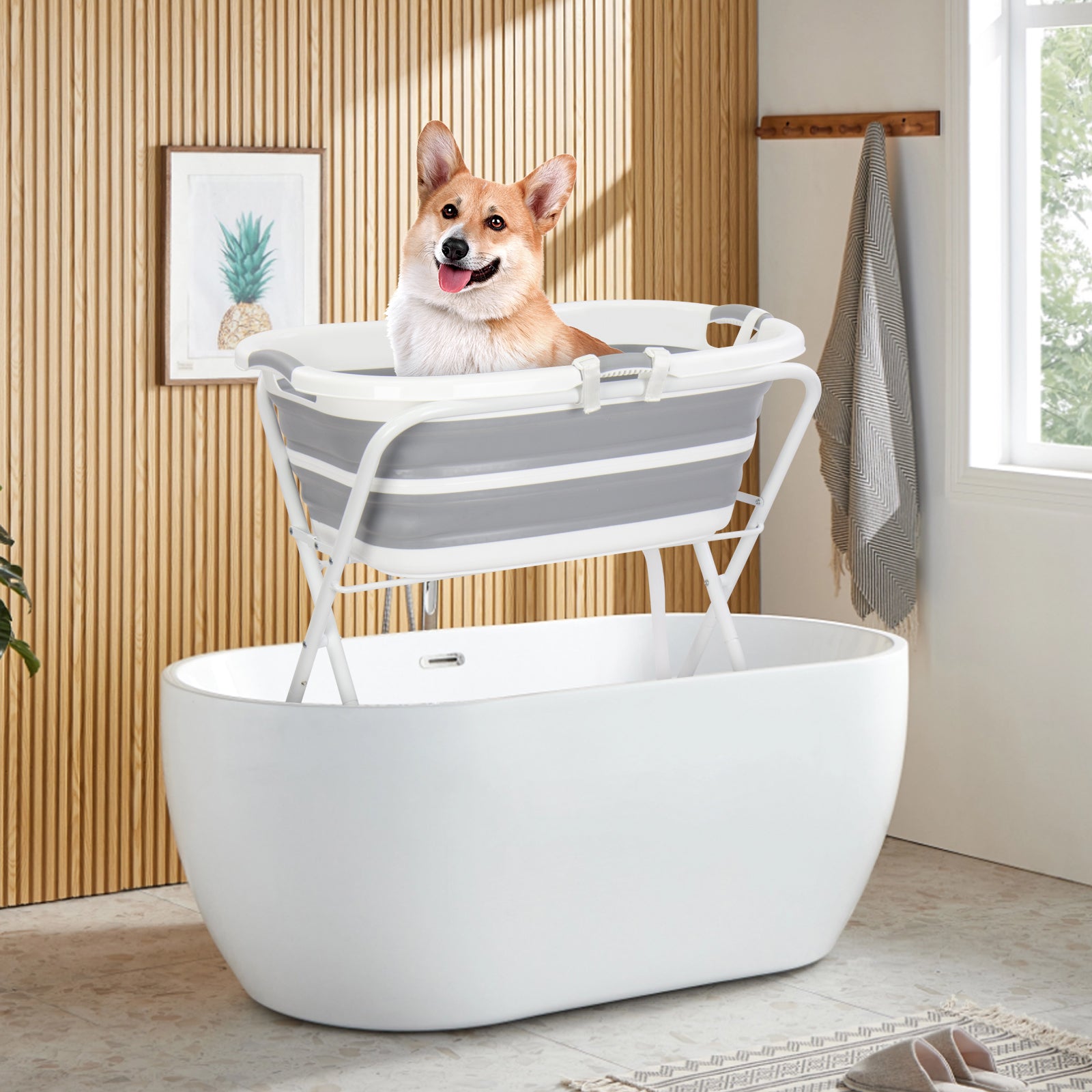 B1 2 in 1 Pet Bath Tub