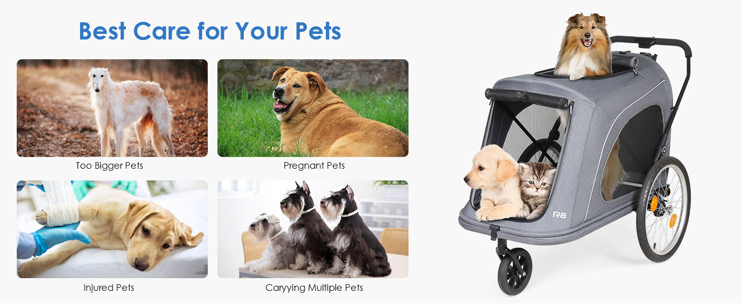 Beberoad R8 Best Care for Your Pets