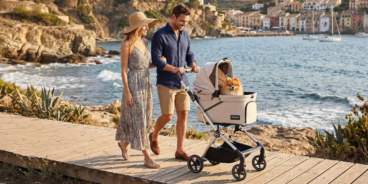 Pet parent enjoying a walk with a Beberoad pet stroller