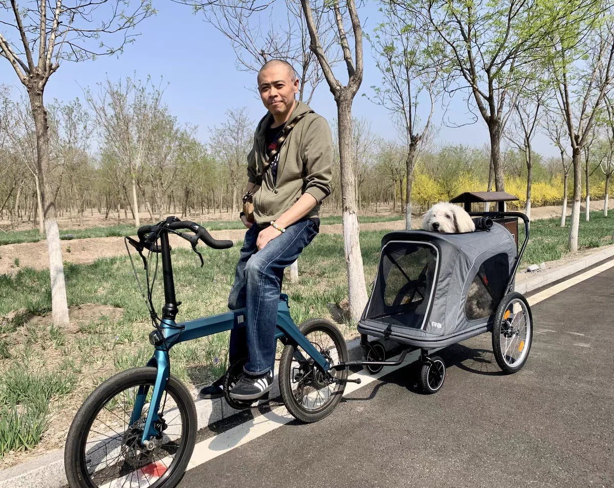 Beberoad R8 bike trailer stroller for active pet owners and dogs