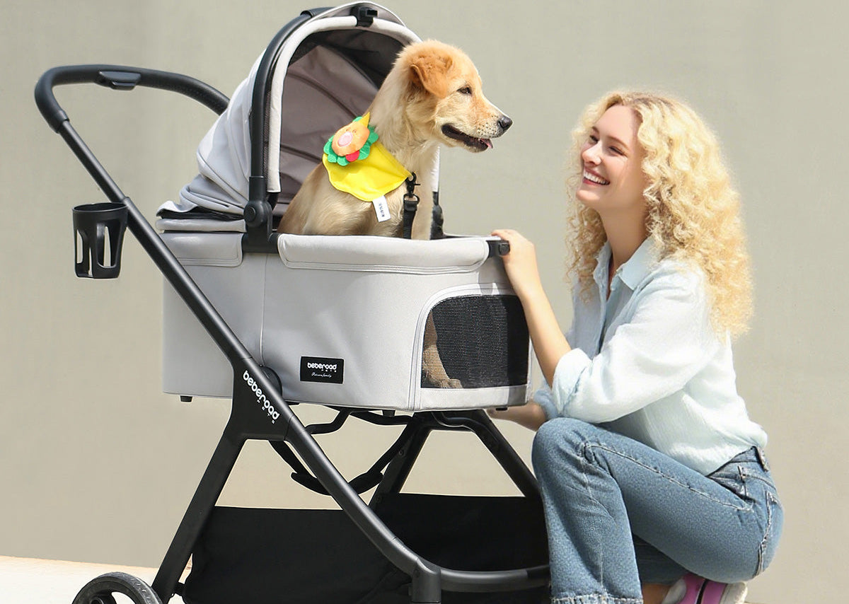 Pet parent enjoying a walk with a Beberoad pet stroller