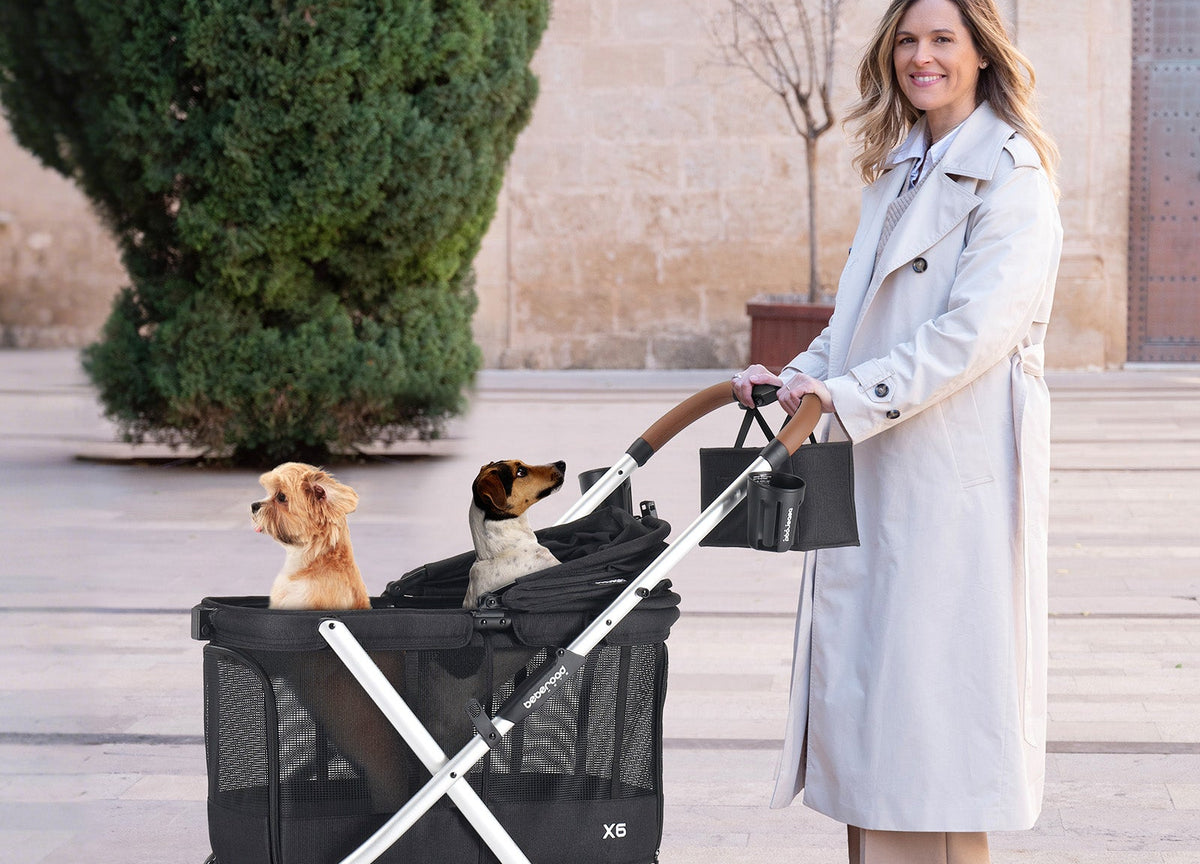 Pet parent enjoying a walk with a Beberoad pet stroller