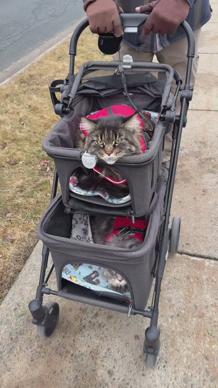  customer video by @kittynestlife