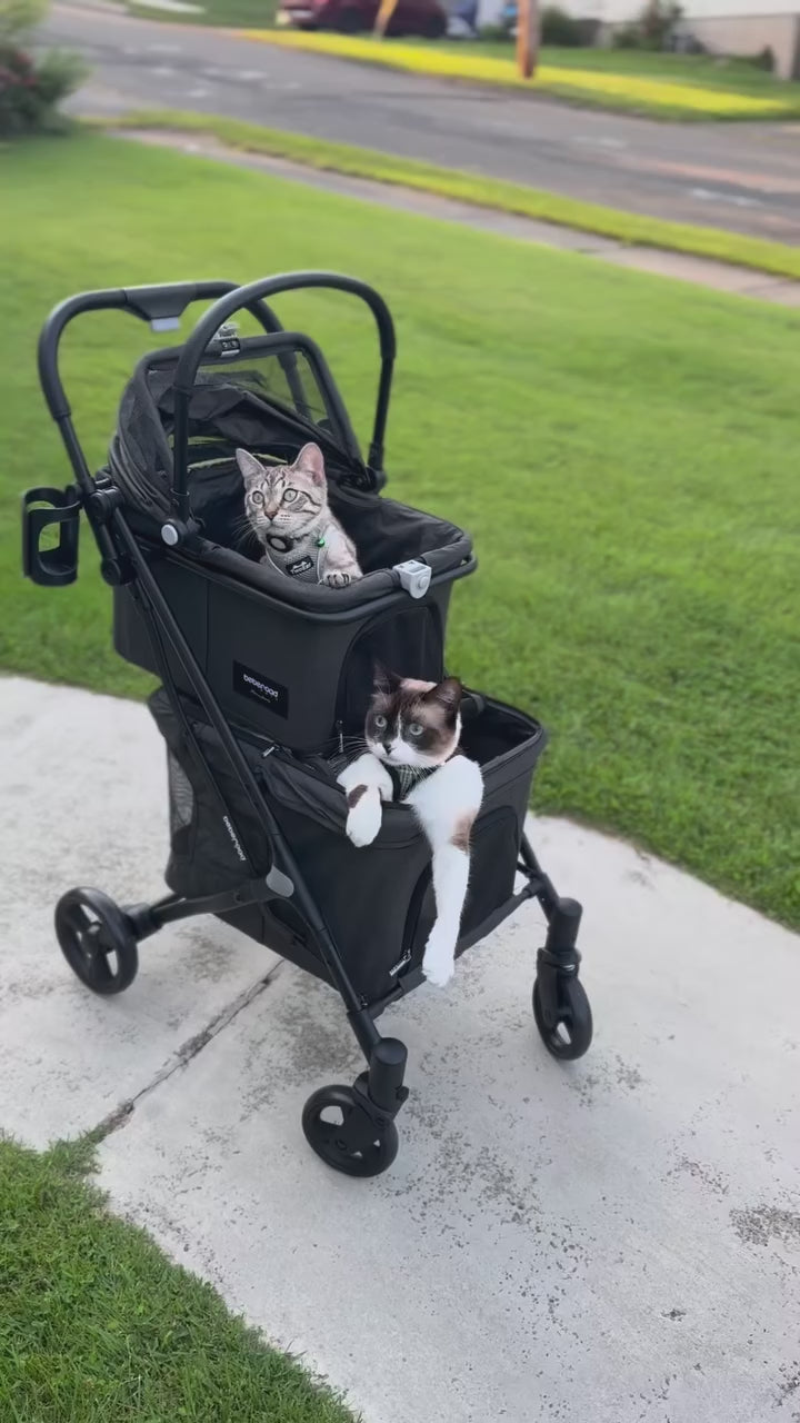  customer video by @twokitty_tales
