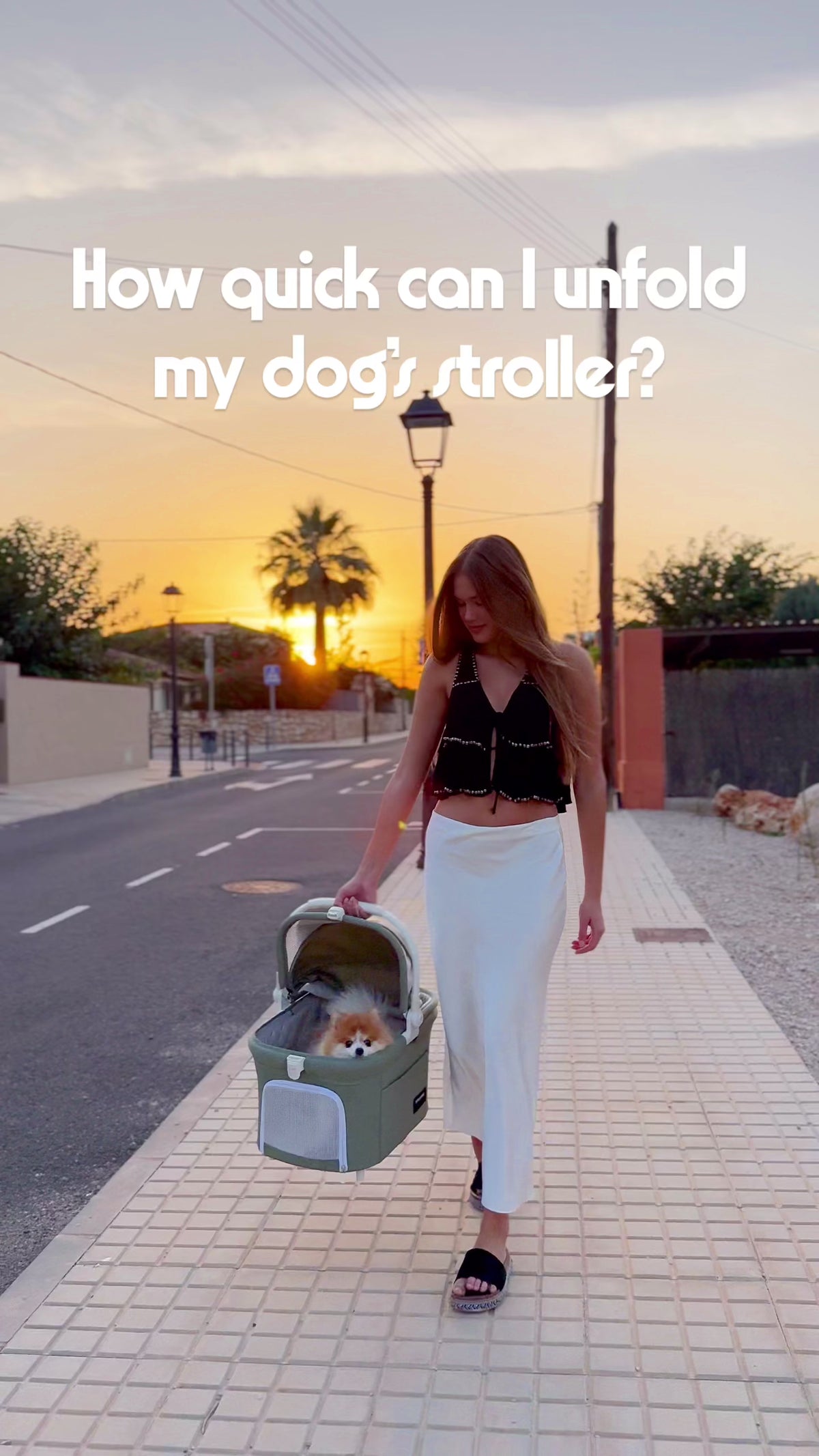  customer video by @PawStrollDiaries