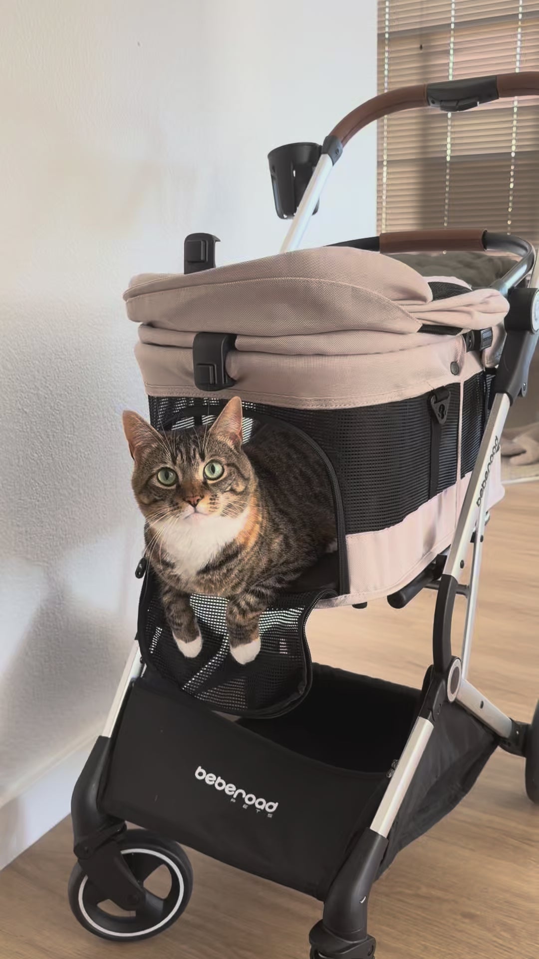  customer video by @petparent.kiwi