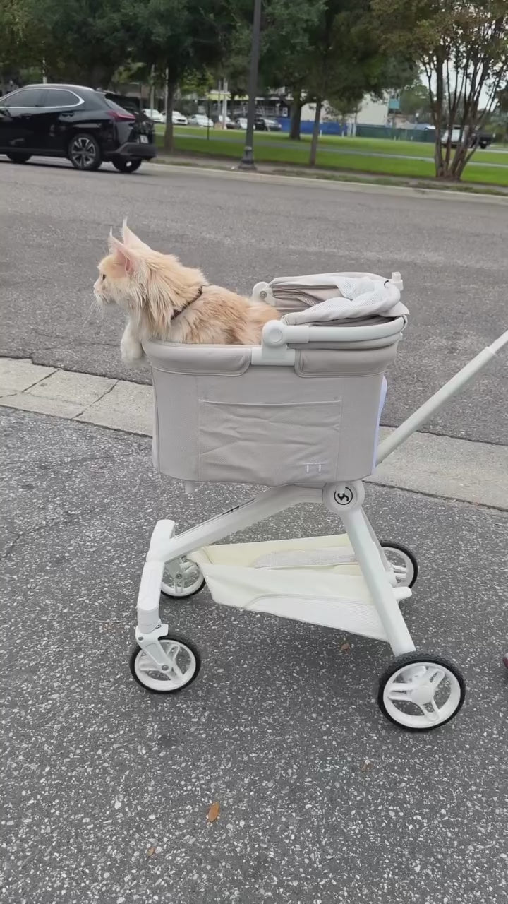  customer video by @rocco_and_the_kitty_cats