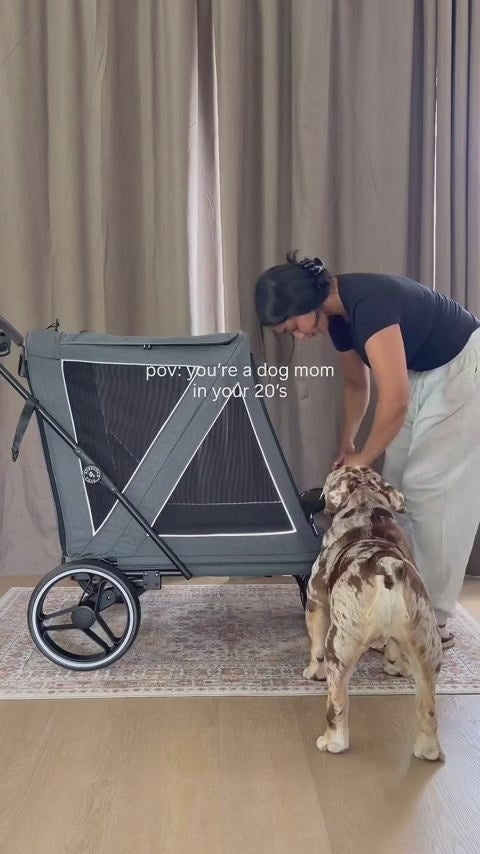  customer video by @ralphythepooch