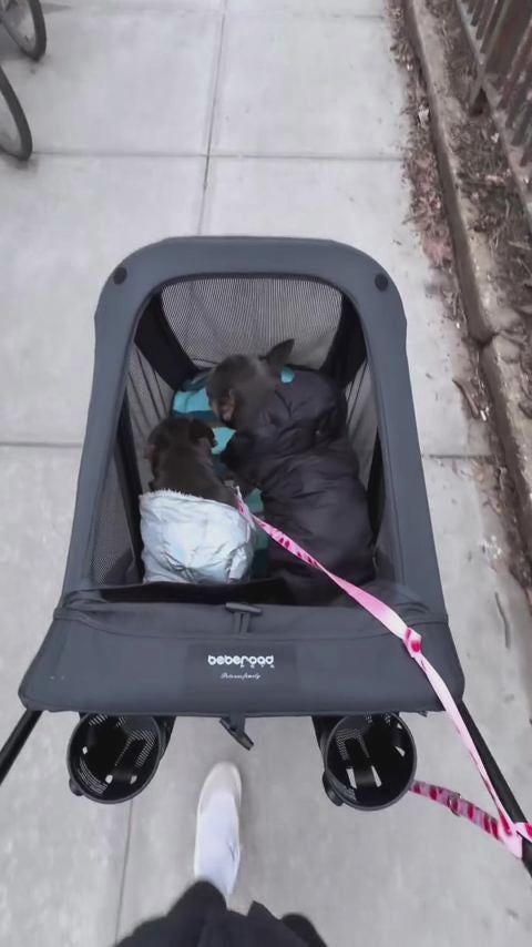  customer video by @frankandfionaa