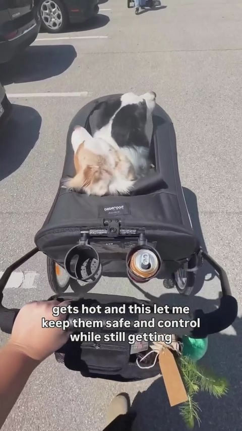 R8 customer video by @petparent.r8