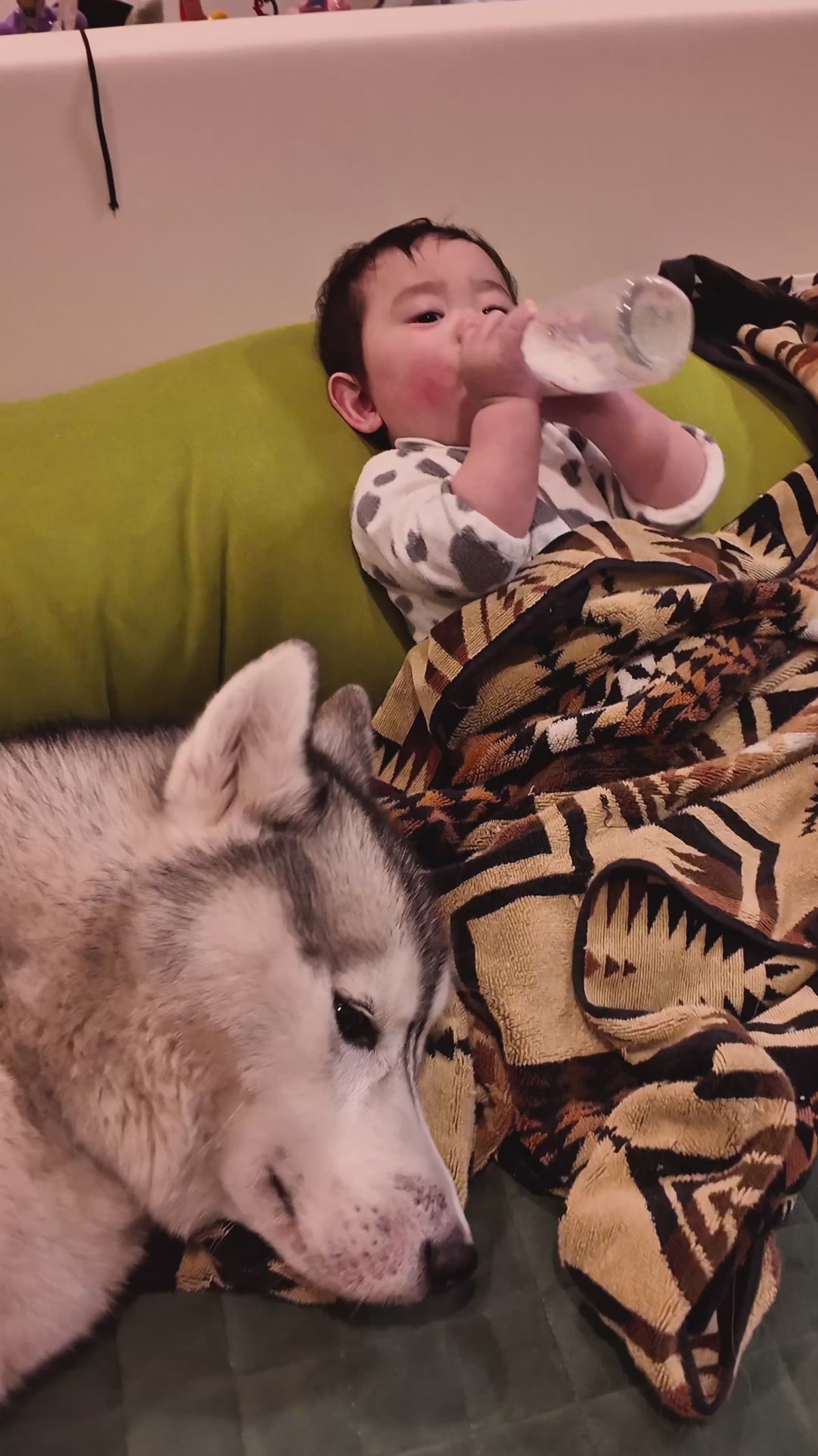  customer video by @haskin.huskylife
