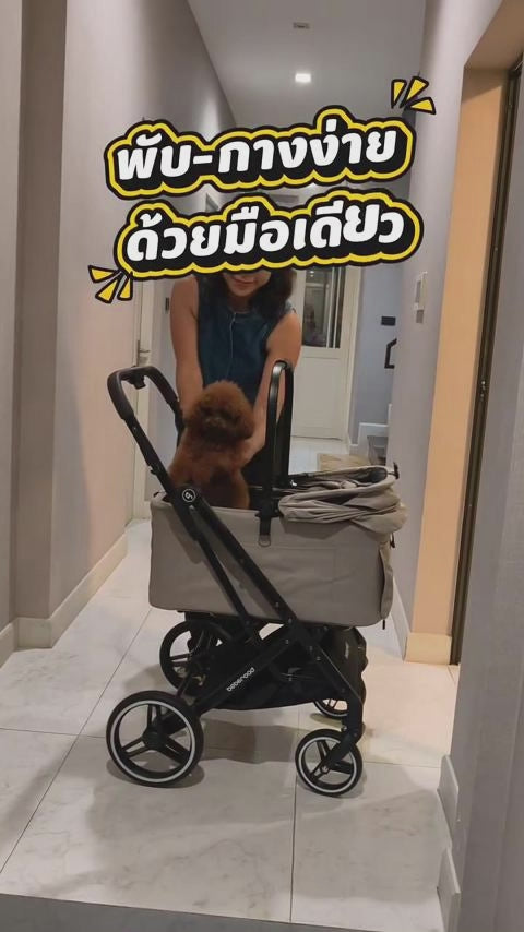  customer video by @pawdiaries_leo