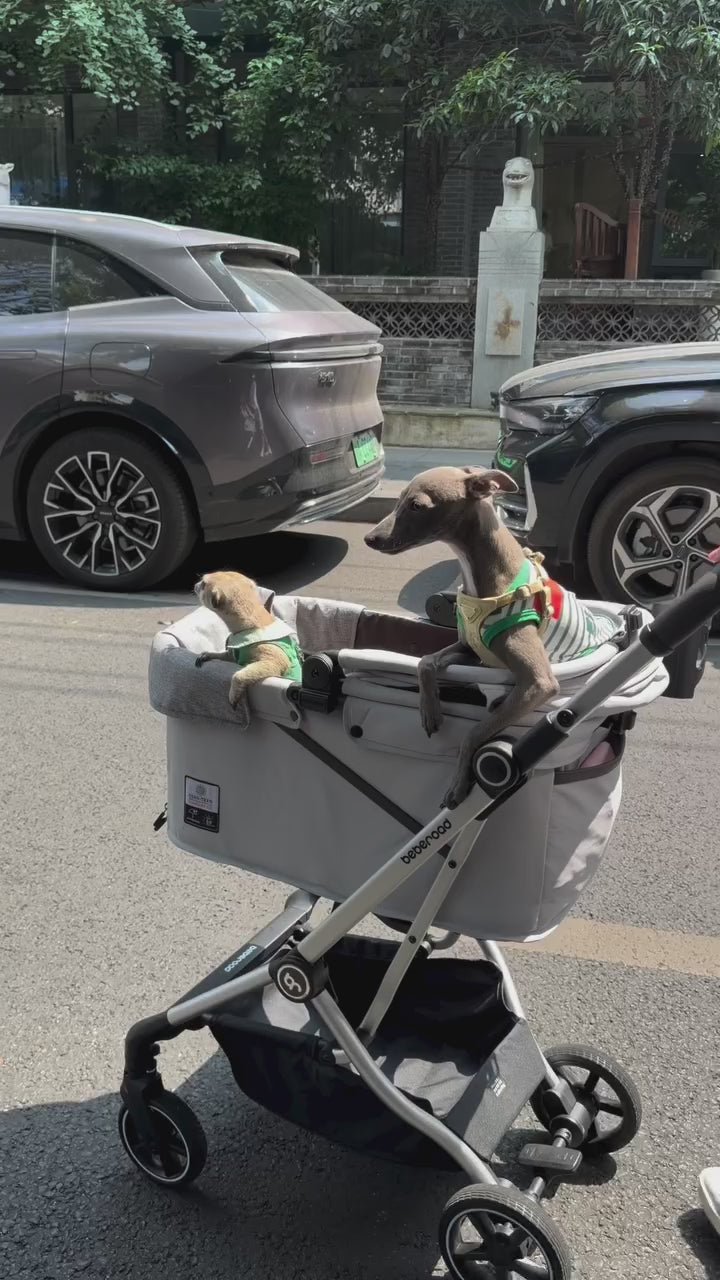  customer video by @poppy.and.paws