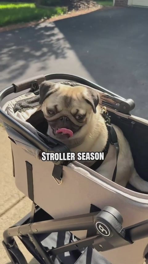  customer video by @fluffydaily_