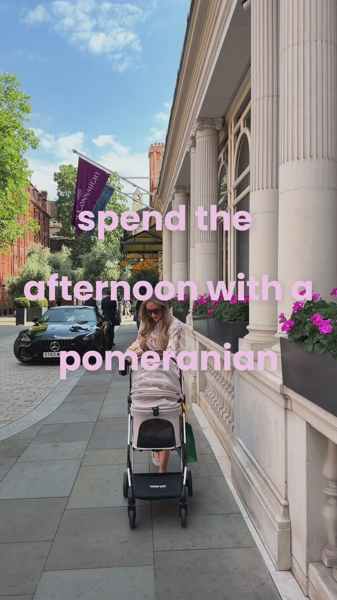 T3 Pro customer video by @bon_the_pomeranian