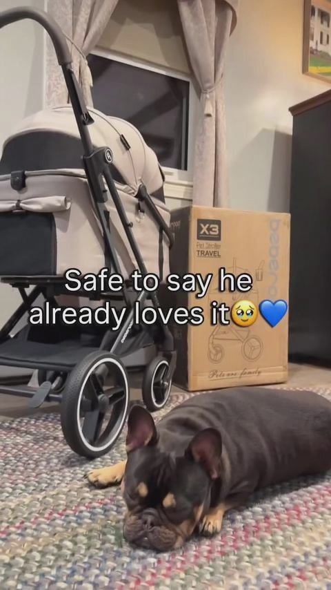  customer video by @cozy_pawjourney